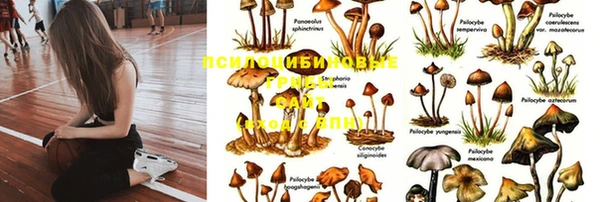 дурь Абдулино